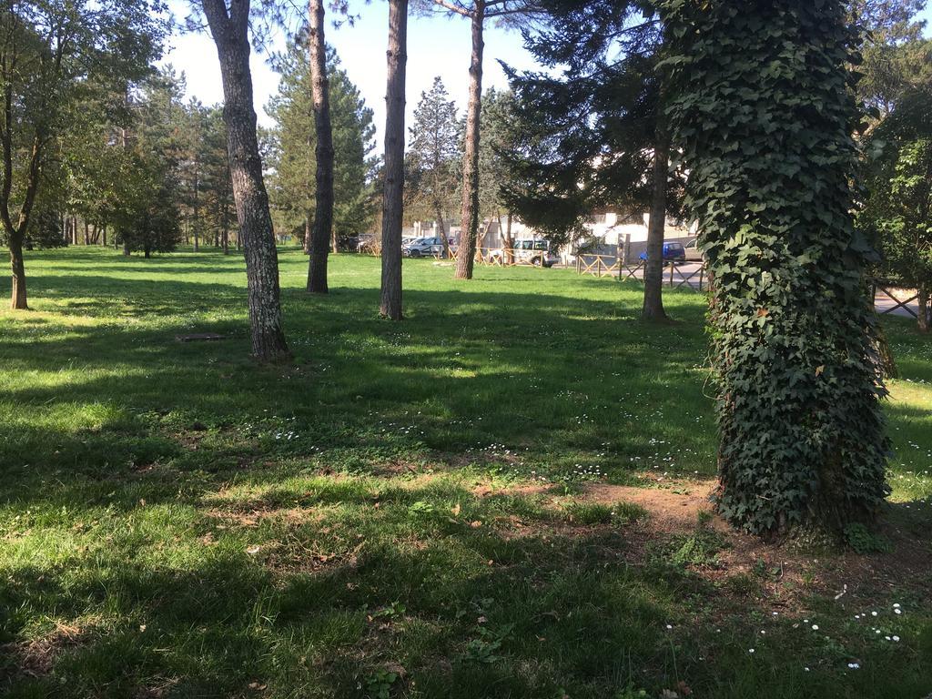 Old Town In The Green: Federico'S Apartment. Флоренция Екстериор снимка
