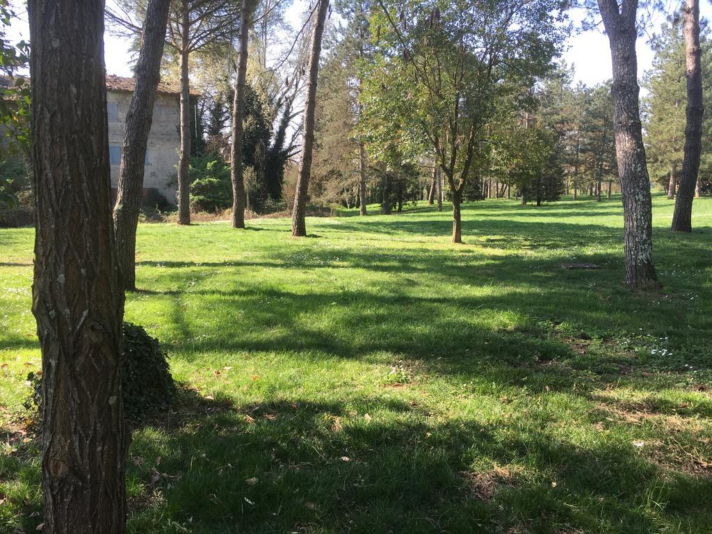 Old Town In The Green: Federico'S Apartment. Флоренция Екстериор снимка